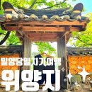 대신 | 밀양 당일치기 여행 위양지 정보 (영월 청룡포 대신 밀양 위양지)