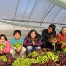 (주)굿자연 이미지