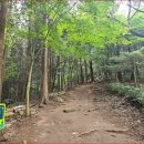 노치산촌생태마을 | [전남 화순 가볼만한곳] 삼나무 숲길과 무등산 백마능선 뷰! 화순 만연산 &amp; 만연사