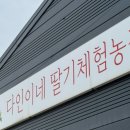 다인마트 | 딸기 체험 농장에서 배워온 맛있는 딸기 고르는 법 ft. 파주 일산 다인이네