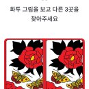 눈썰미 - 창원시 마산합포구 | 눈썰미