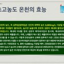 스프링월드
