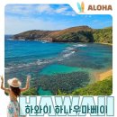 산들여행사 | 하나우마베이 스노쿨링과 예약방법, 워크인 후기까지
