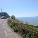 2026 5/31 혼라 대천 숙소 ~죽도 32KM 이미지