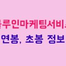 블루인마케팅서비스 이미지