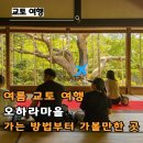 오하라 - 노원구 노해로83길 20 | 교토에서 오하라 마을 가는 방법 산젠인 호센인 다녀온 후기