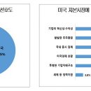 미장 이미지