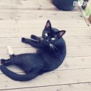 인천삼산동우체국 이미지