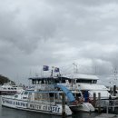 스타크루즈 청소년게임장 | 크리스마스와 새해를 맞아 시드니 여행을 다녀왔어요 (3-1)