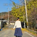 다독임작은도서관 | [일상] 11월 3주차 - 옷쇼핑, 다독임MT, 모범택시3, 신세계백화점 트리