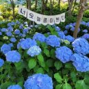 고래정원 이미지