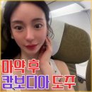 하이홀딩스 | 남양유업 딸 황하나, 마약 조사 중 해외 도피 후 근황