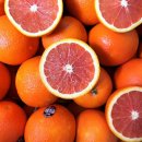 오렌지헬스 이미지