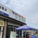 신호농장 | 퇴촌 싱싱계란농장 방문후기 | 난각번호 확인법과 계란 직거래 정보