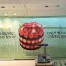 시루향 이미지