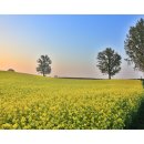 목장의아침 이미지