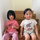 미니봉봉 네이버블로그