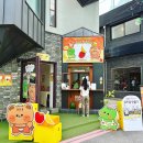 다정마트 | 성수 다정한 츄츄마트 팝업스토어 방문후기
