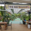 신 하나농장 이미지