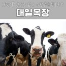 대일목장 네이버블로그