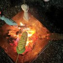 타이어캠프 | 고아웃 캠프 2025 태안 몽산포 캠핑장 후기