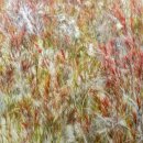조현화랑, 국제 아트페어 프리즈 서울(Frieze Seoul) 2024 참여..."박서보, 김종학, 키시오스가...