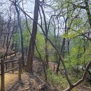 우면산3-24 이미지