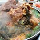 (주)조마루 Daum카페