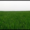 공음농장 이미지