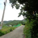 자암경로당 Daum카페