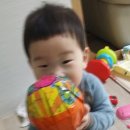 주댕 이미지