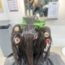 머리할때됐다 | [머리할때됐다] 수성점 뿌리 볼륨매직&amp;성형아리아펌 후기