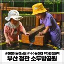 정관체육시설 축구장 이미지