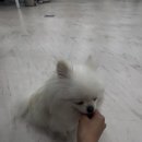 월