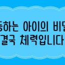 태권도효도관 이미지