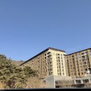 제천북로(2)L | [제천 숙소] 제천 포레스트리솜 리조트 이용 후기 l 숲 속 휴양지에서 별 구경하기 좋은 강원도 숙소