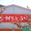 청송해뜨는농장 이미지