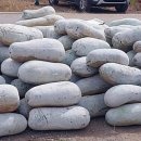 굿모닝농장2 이미지