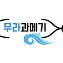 해초과메기 이미지