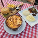 낙타와돌고래 | [이집트🇪🇬]포트갈립에서의 쉬어가는 하루(낙타고기, 낙타버거)