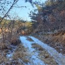 CU지행우체국점 | 영천세무서 양도소득세 신고와 LH주택공사 퇴거신청후기