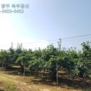 장성공인중개사사무소 이미지