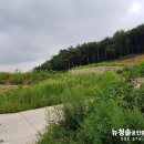 뉴대지부동산중개사무소 이미지