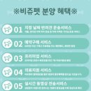 비쥬펫