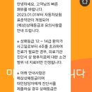하나교통(주) | 경미한 교통사고 합의금 후기..12-14급 후방 추돌