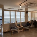 멍냥멍냥 미용실 이미지