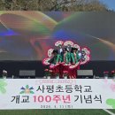 사평초 Daum카페