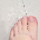 오쓰연어