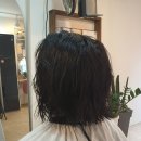 살롱디홍(Salon D.Hong)