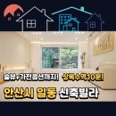 성호중학교 | 안산 일동 신축빌라, 숲세권에 상록수역까지 완벽한 우리 집 찾기✨